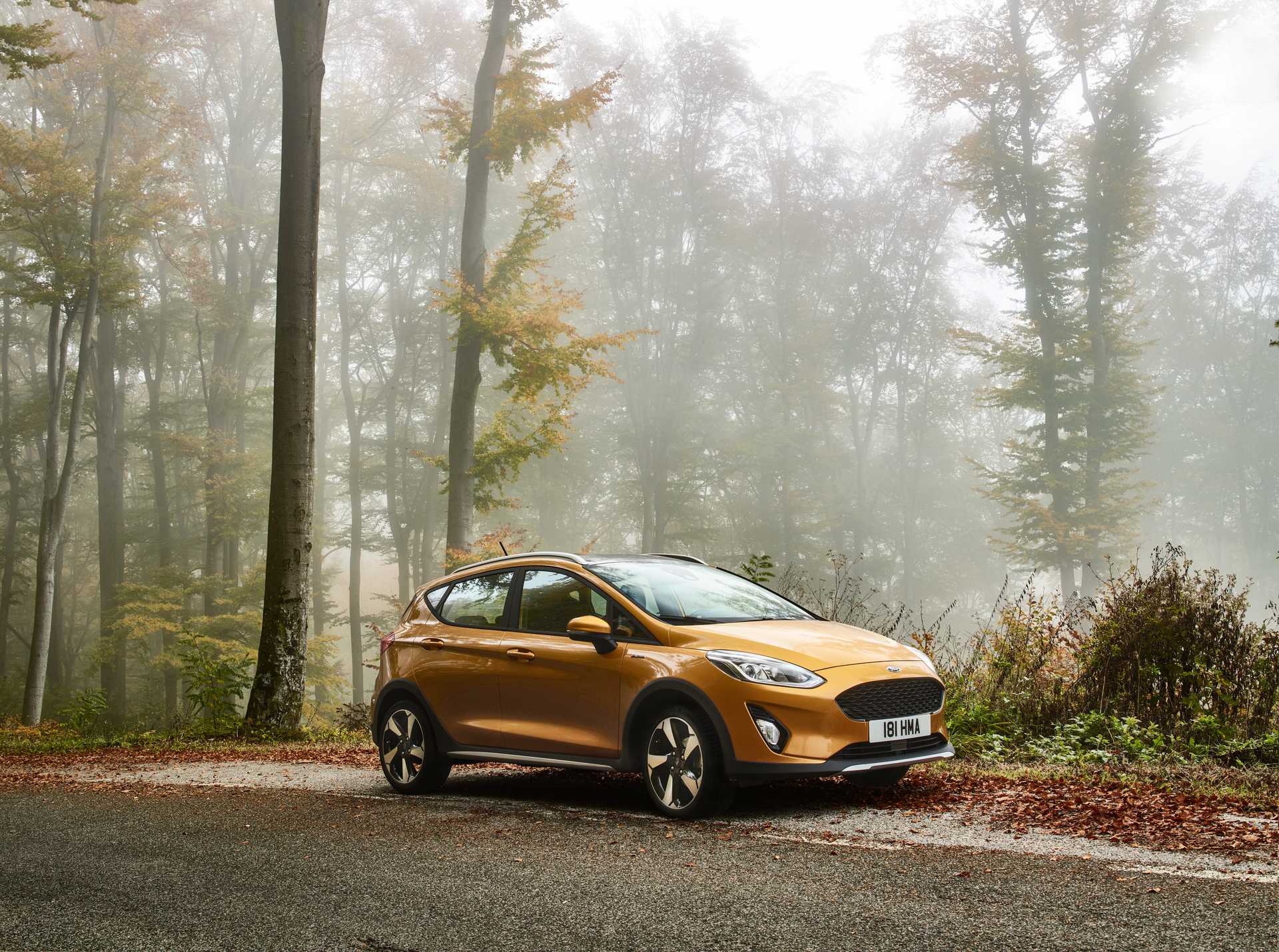 Reprogrammation Ford Fiesta 1.0T Ecoboost 85