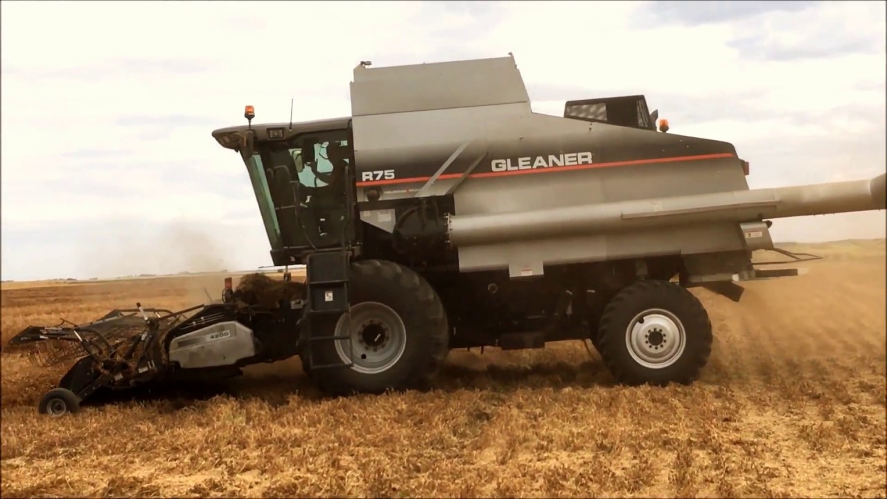 Reprogrammation GLEANER R5 Series R75 8.4 V6 350