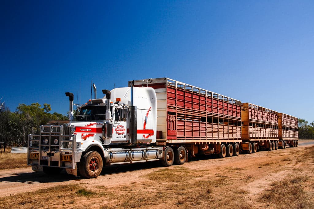 Reprogrammation Western Star 6900 Series 6900 XD 15.6L I6 481