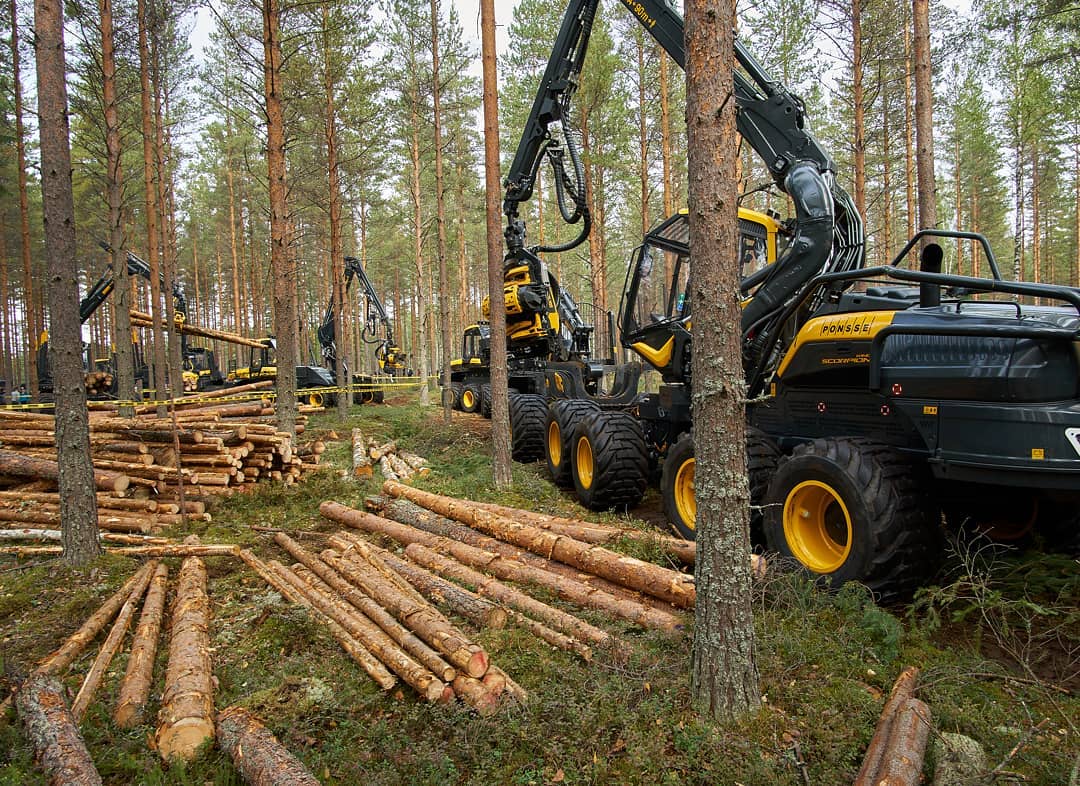 Reprogrammation Ponsse Buffalodual 6.37  279