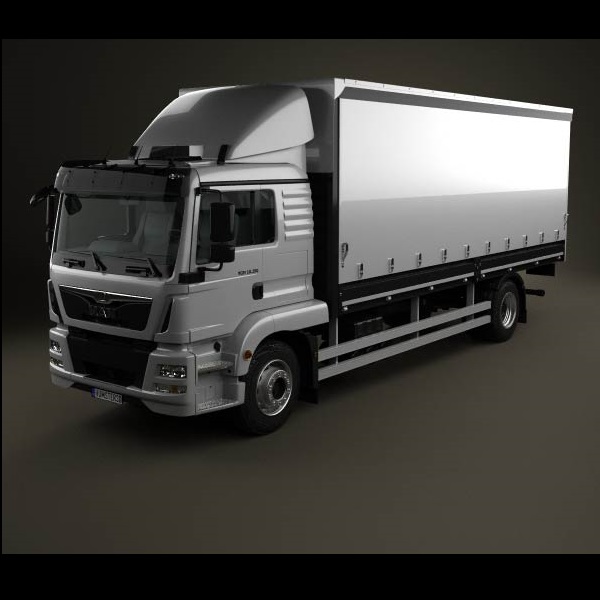 Reprogrammation MAN TGM  18 ( 1e generatie ) 240