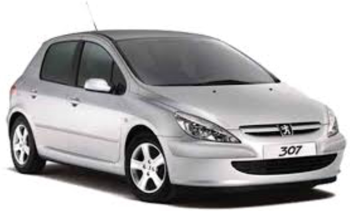 High Quality Tuning Files Peugeot 307 2.0i 16v  138hp