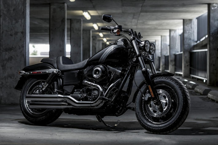 Reprogramiranje vozila Harley Davidson 1690 Dyna / Softail / Road K / Electra Glide / 1690 Dyna Fat Bob  78
