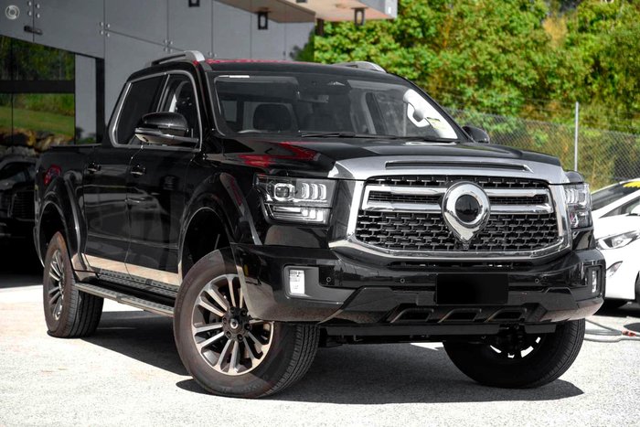 Reprogrammation GWM Cannon Alpha 2.4 D 184