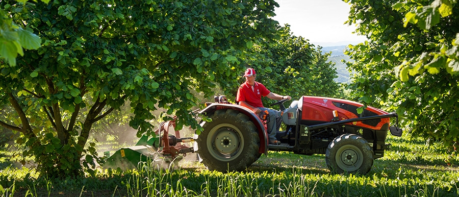 Reprogrammation SAME Frutteto 90  83