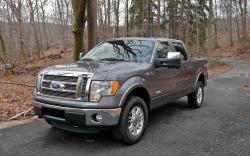 Yüksek kaliteli ayarlama fil Ford F-150 4.6 V8  248hp