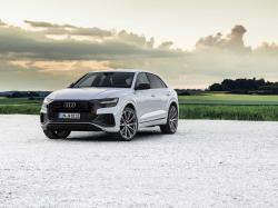 Фильтр высокого качества Audi Q8 RSQ8 - 4.0 V8 Bi-Turbo  600hp