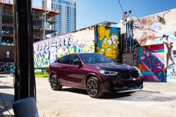 高品质的调音过滤器 BMW X6 xDrive30D MHEV 286hp