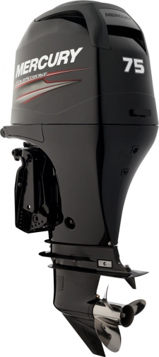 High Quality Tuning Files Mercury Marine outboard 75 EFI 1732CC 75hp