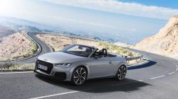 Yüksek kaliteli ayarlama fil Audi TT S S (2.0 TFSI) 320hp
