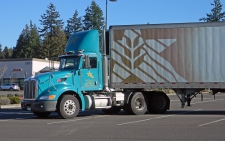 Yüksek kaliteli ayarlama fil Peterbilt 384  12.9L I6 381Hp