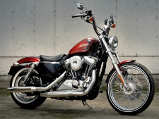 Yüksek kaliteli ayarlama fil Harley Davidson 1200 XL / XR XL 1200 V  65hp