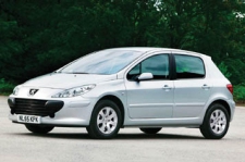 Yüksek kaliteli ayarlama fil Peugeot 307 1.6 HDi 90hp