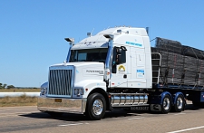 Yüksek kaliteli ayarlama fil Iveco Powerstar 7800 14.9L I6 558hp