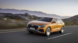Фильтр высокого качества Audi Q8 SQ8 - 4.0 TFSI 507hp