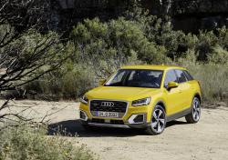 Yüksek kaliteli ayarlama fil Audi Q2 S TFSI (2.0T) 310hp